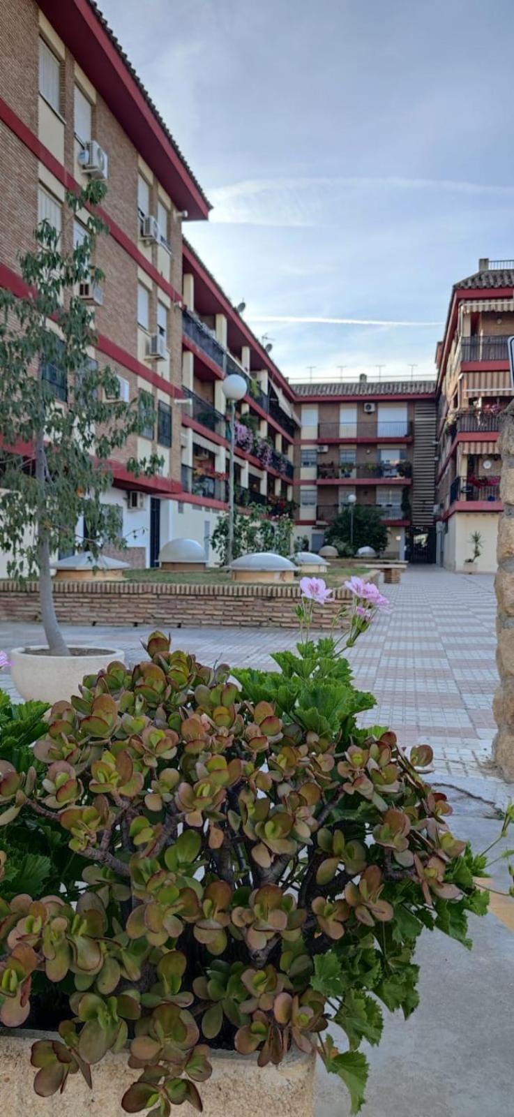 Loft A La Verita River, Parking Free Кордоба Екстериор снимка